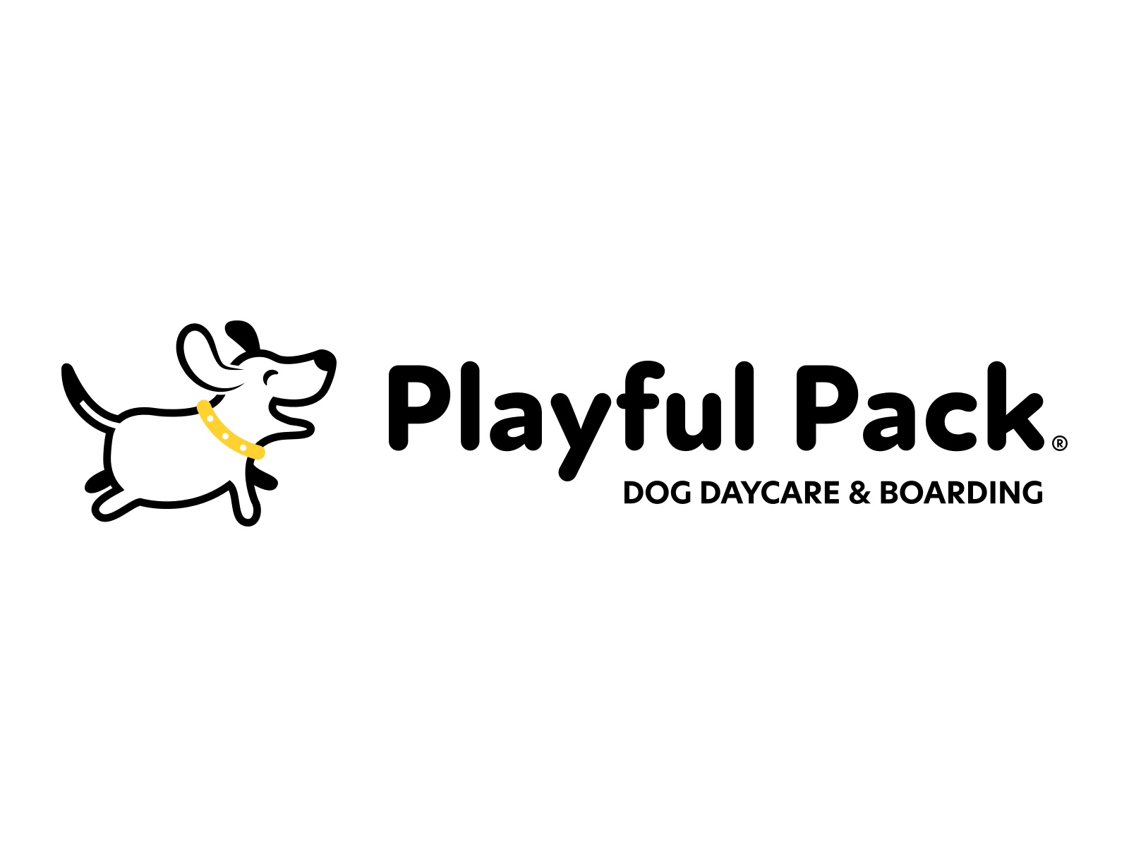 new-dog-daycare-in-charleston-sc-playful-pack